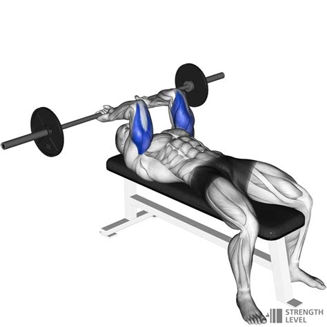 1 Aug 2019 ... How to: Lying Barbell Tricep Extension · Place a bench vertically behind you. Holding a barbell, lie down on the bench and plant your feet on the ...